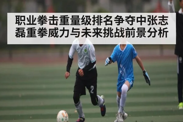职业拳击重量级排名争夺中张志磊重拳威力与未来挑战前景分析 - Leyu