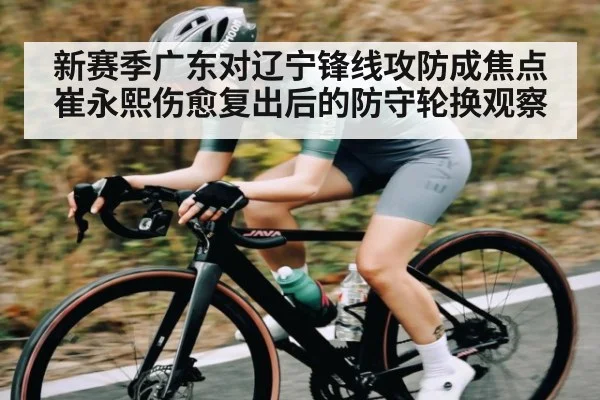 新赛季广东对辽宁锋线攻防成焦点崔永熙伤愈复出后的防守轮换观察 - Leyu